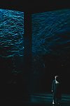 Erl/Tiroler Festspiele: Das Rheingold – Premiere am 10. Juli 2021