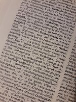 Unendlich weit mehr als Orthographie - Ein Appell